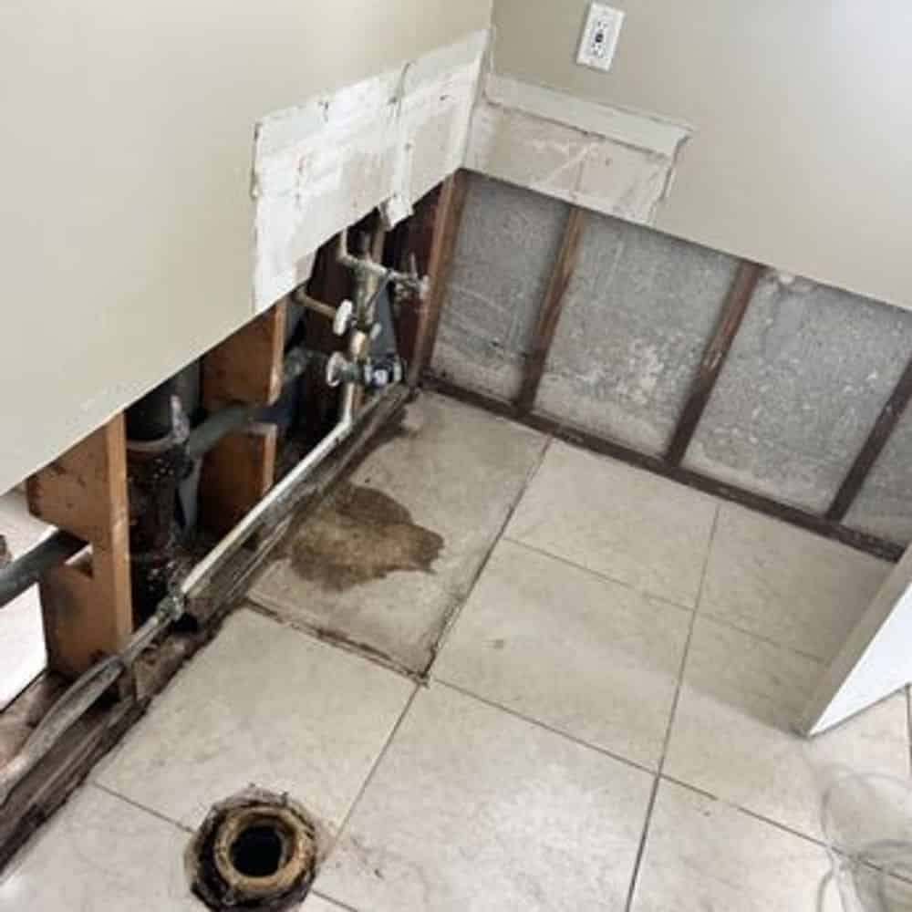Crawlspace Encapsulation and Maintenance image