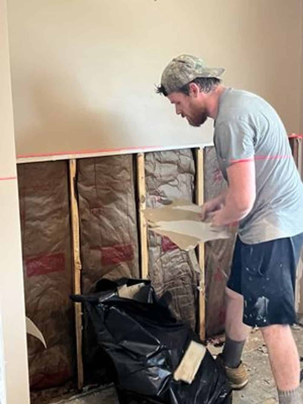 Mold Remediation Services image