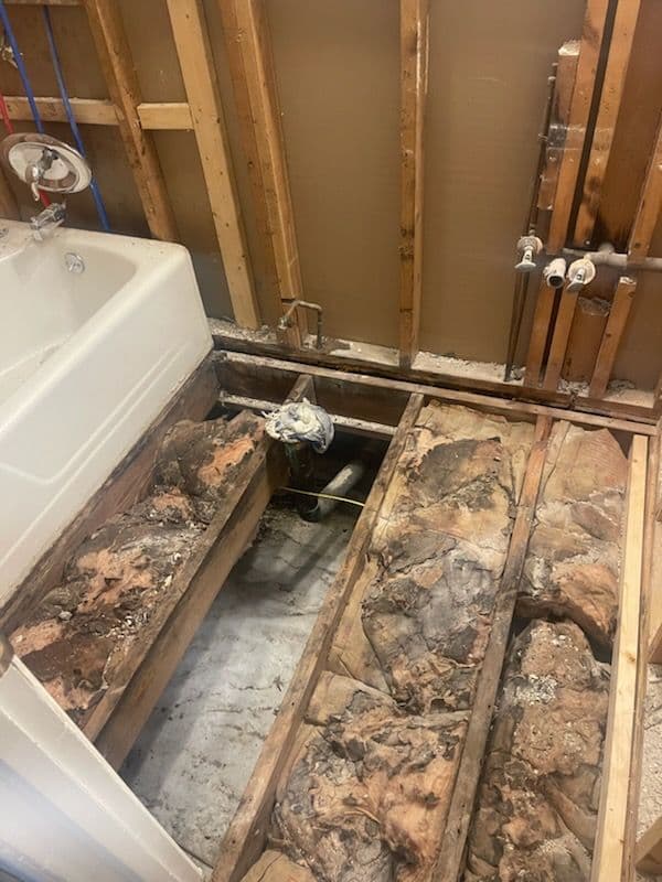 Bathroom Restoration and Mold Remediation