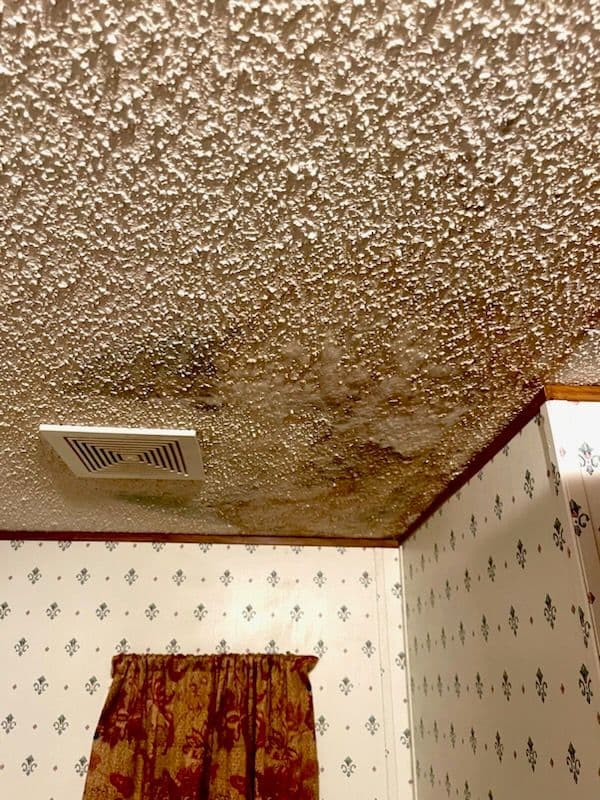 Project Mold Remediation in Moncks Corner, SC image