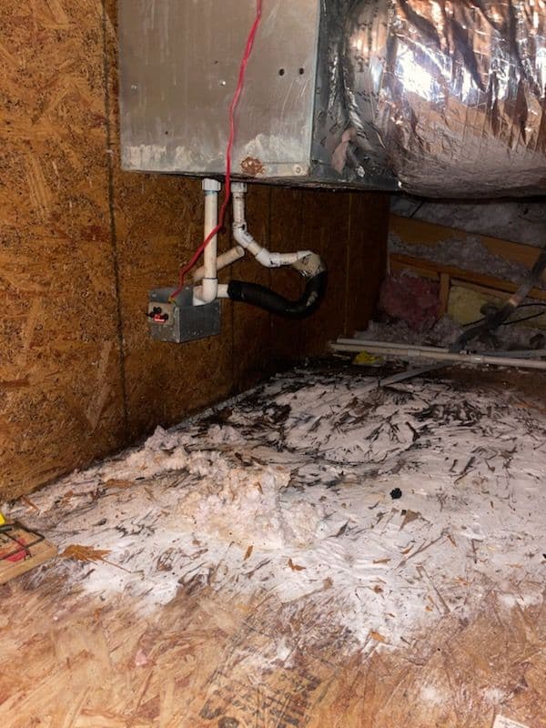 Attic Mold Remediation and Insulation Replacement