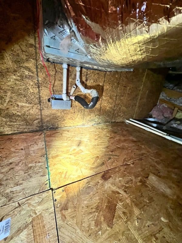 Attic Mold Remediation and Insulation Replacement