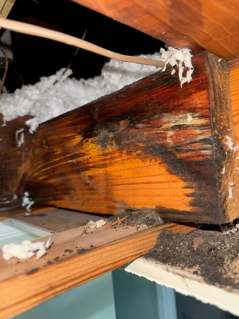 Swift Ceiling Leak Repair Restores Peace of Mind