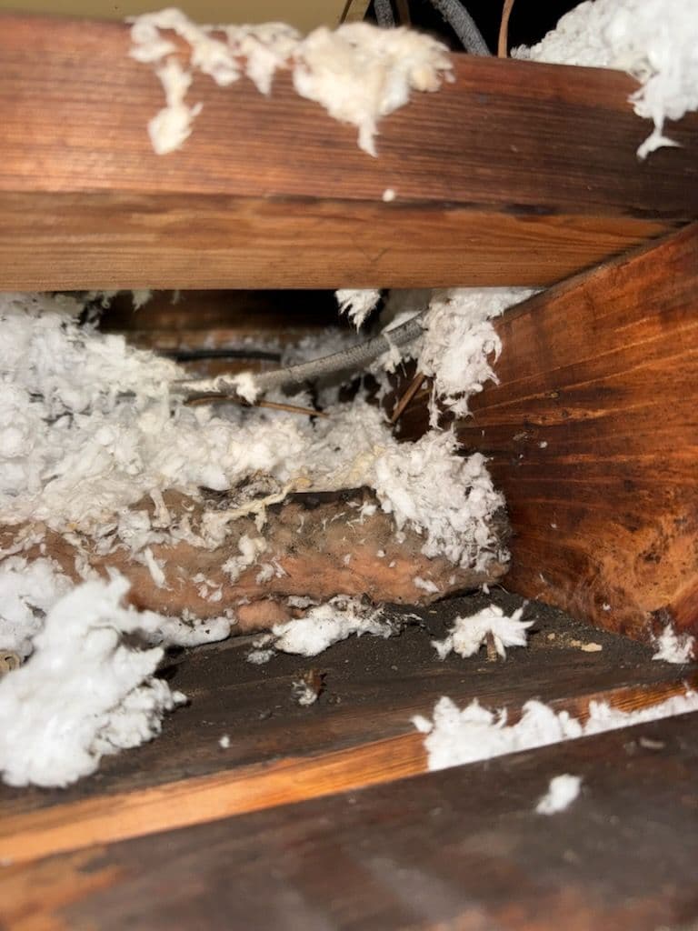 Swift Ceiling Leak Repair Restores Peace of Mind