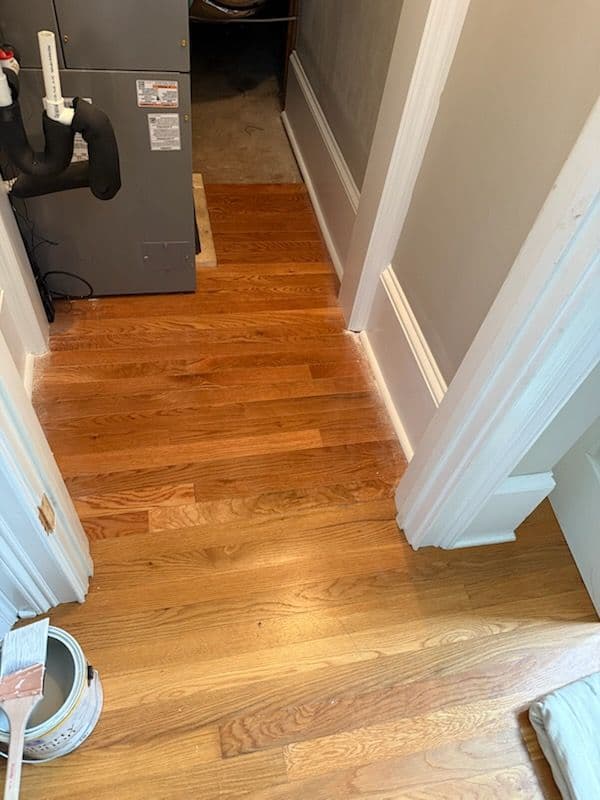 Top-Notch Water Damage Solution in Charleston image