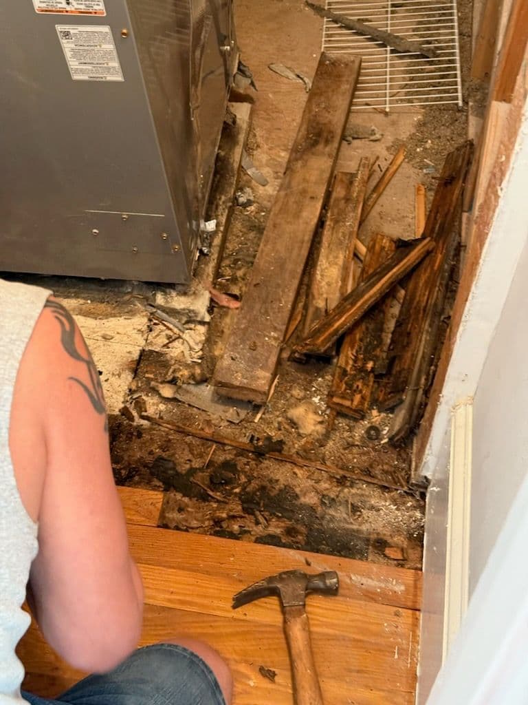 Gallery photos for Top-Notch Water Damage Solution in Charleston: Image #2