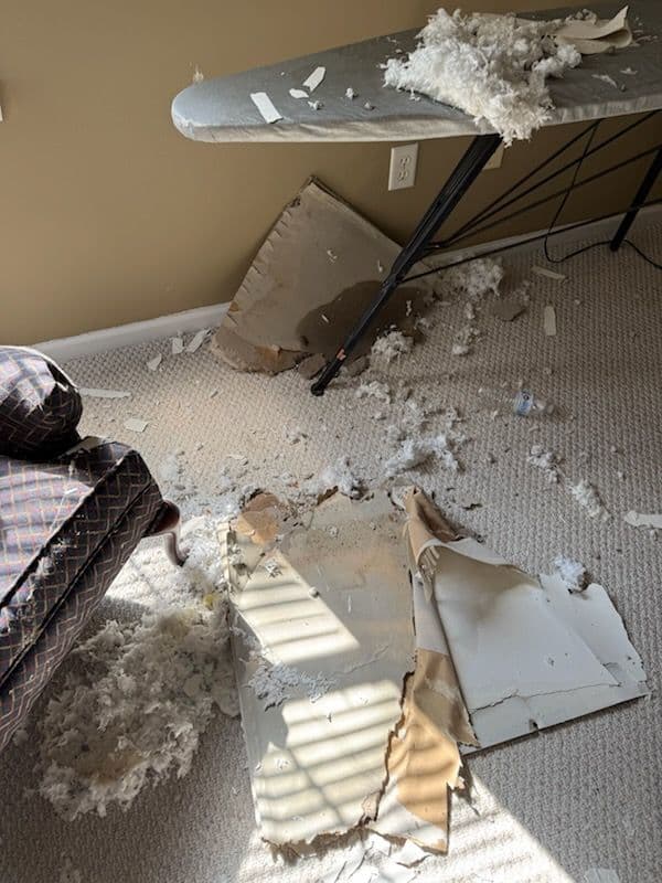 Mount Pleasant HVAC Leak Restoration Triumph